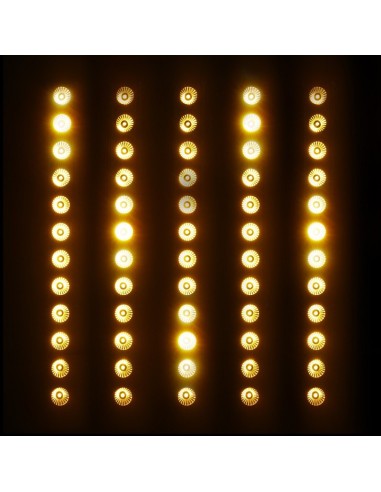 CAMEO - PIXBAR DTW PRO