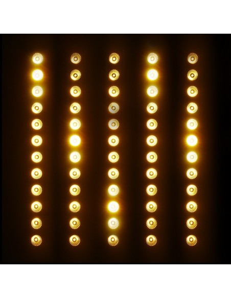 CAMEO - PIXBAR DTW PRO