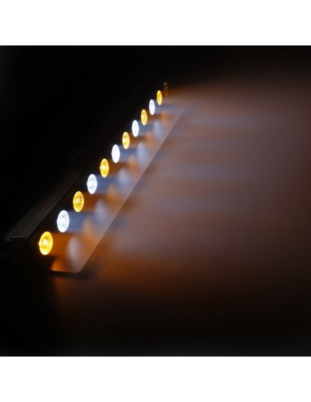 CAMEO - PIXBAR DTW PRO