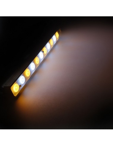 CAMEO - PIXBAR DTW PRO