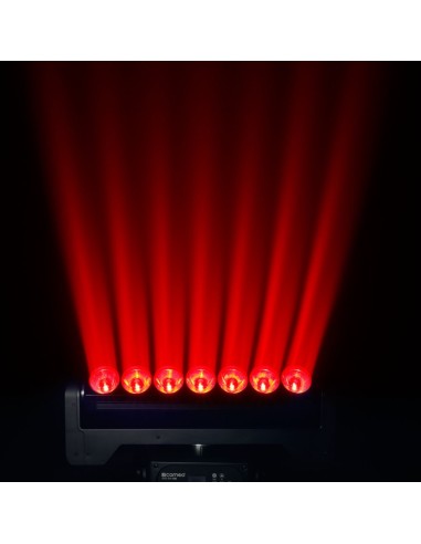 CAMEO - AURO BAR 100