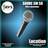 SHURE - SM 58