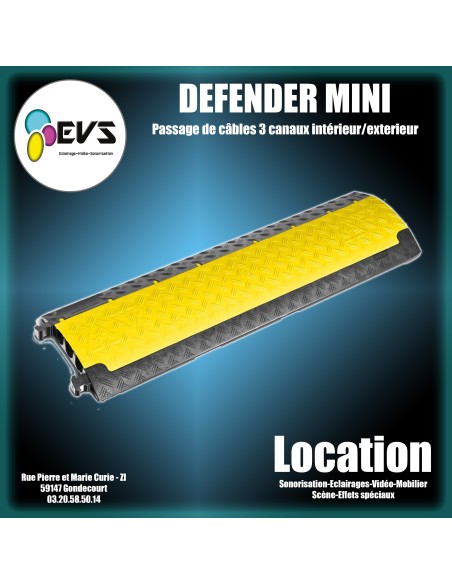 DEFENDER - MINI
