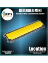 DEFENDER - MINI